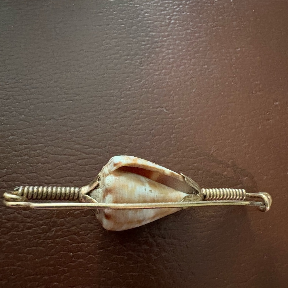Vintage Shell Broach & Rare shells - Picture 6 of 6